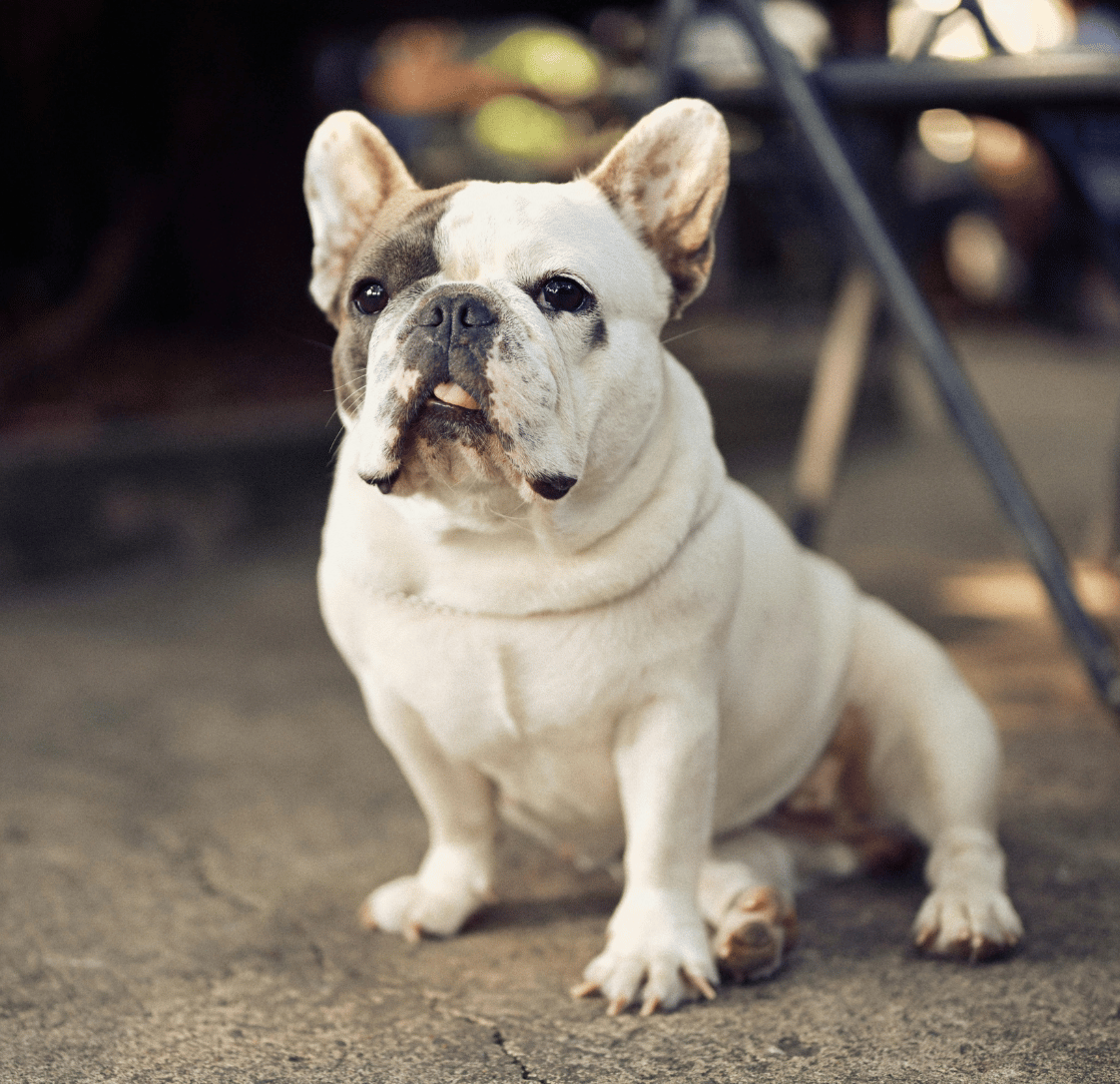 What to Expect After BOAS Surgery: A Recovery Guide