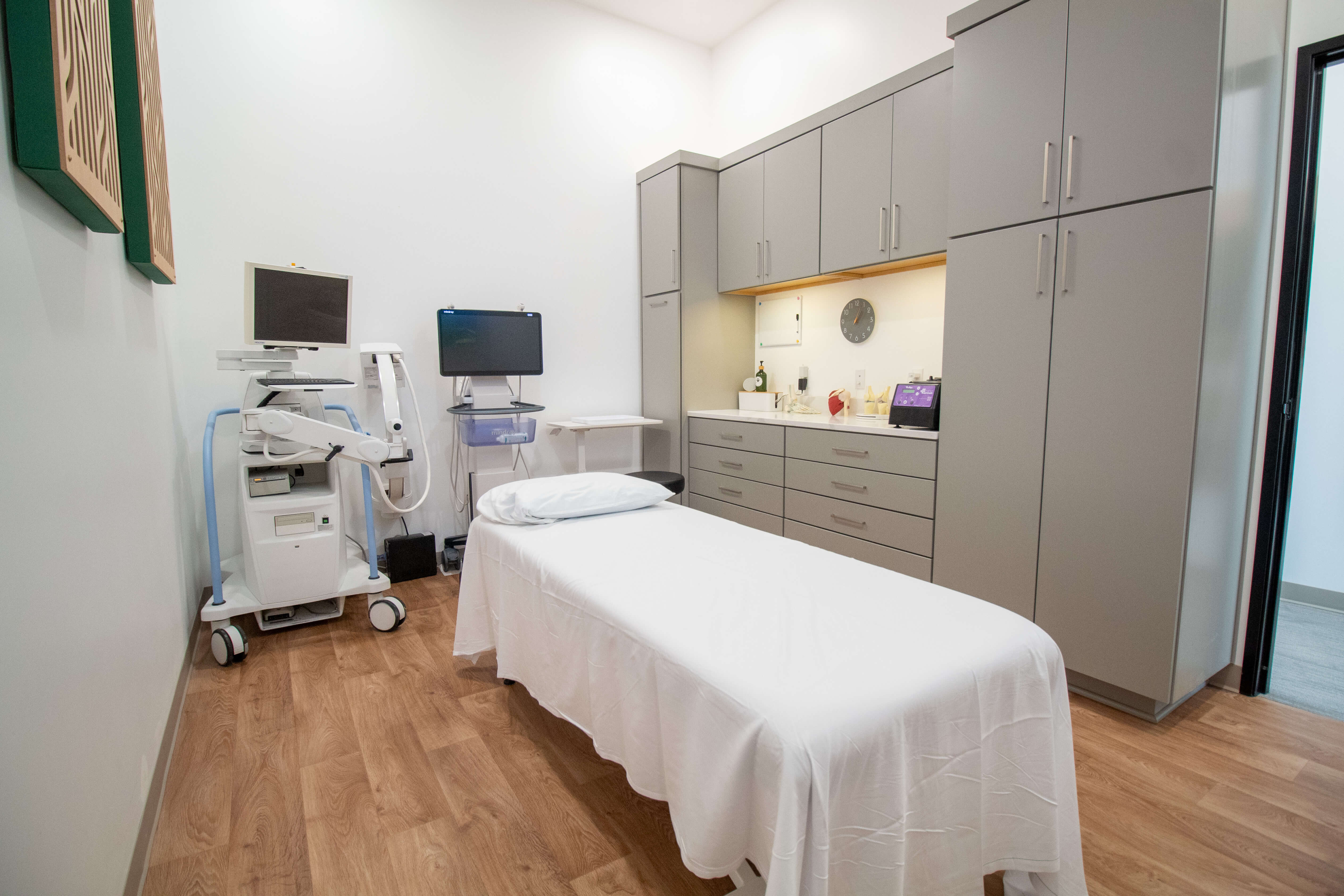Maple Medical's Procedure Suite