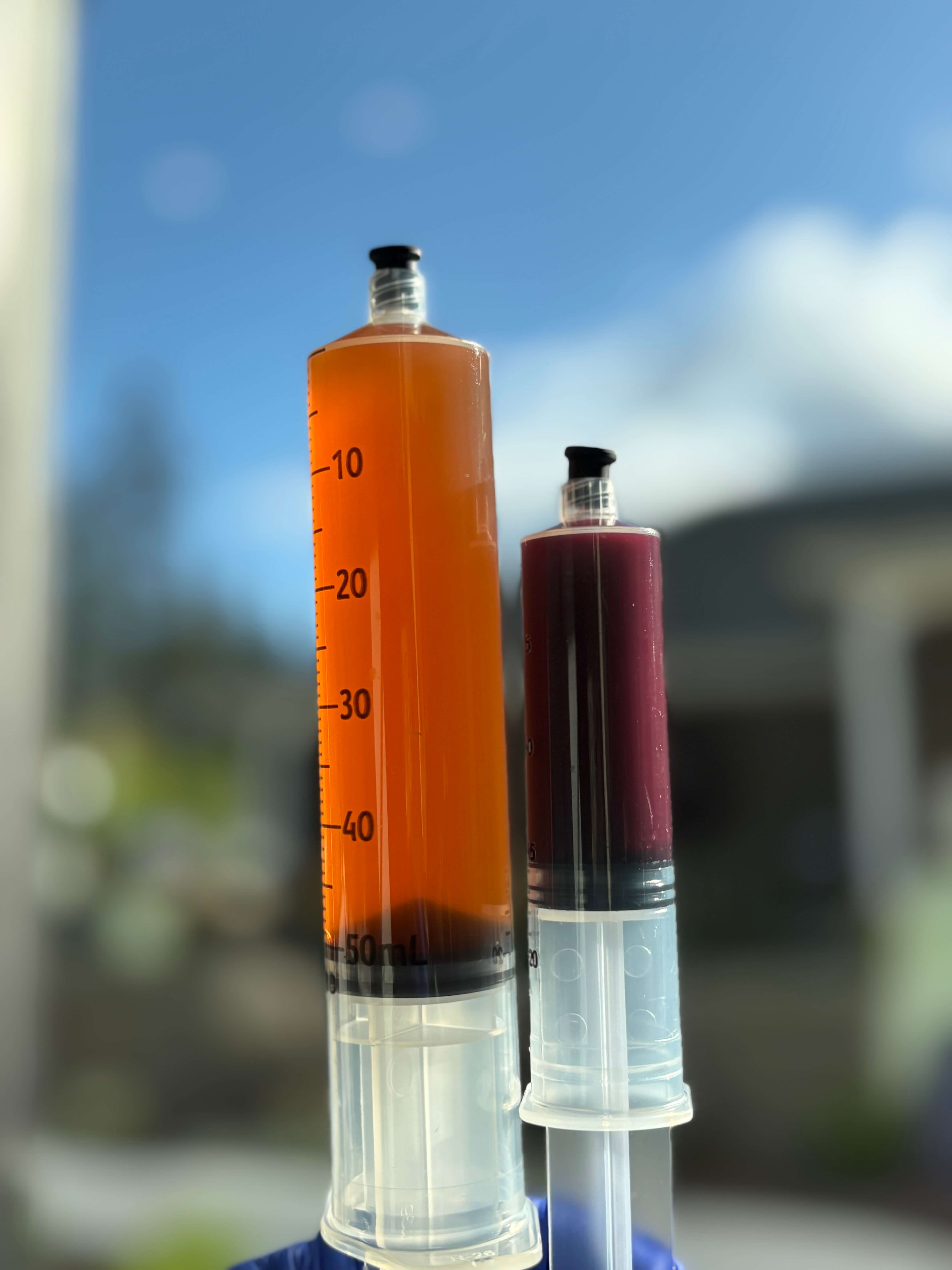 Platelet Poor Plasma (PPP) and Platelet Rich Plasma (PRP)