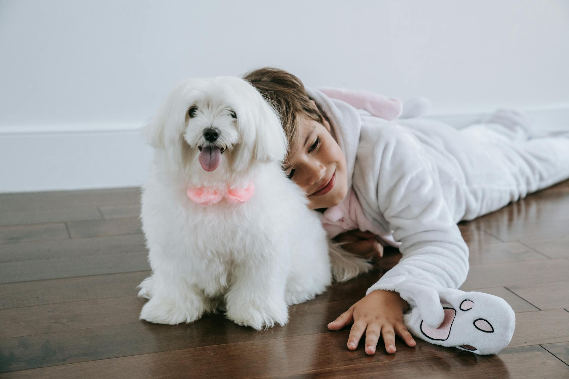 A dog and a boy play together on a vinyl floor.