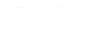 Stadt Zürich Stadtpolizei