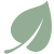 Light leaf image