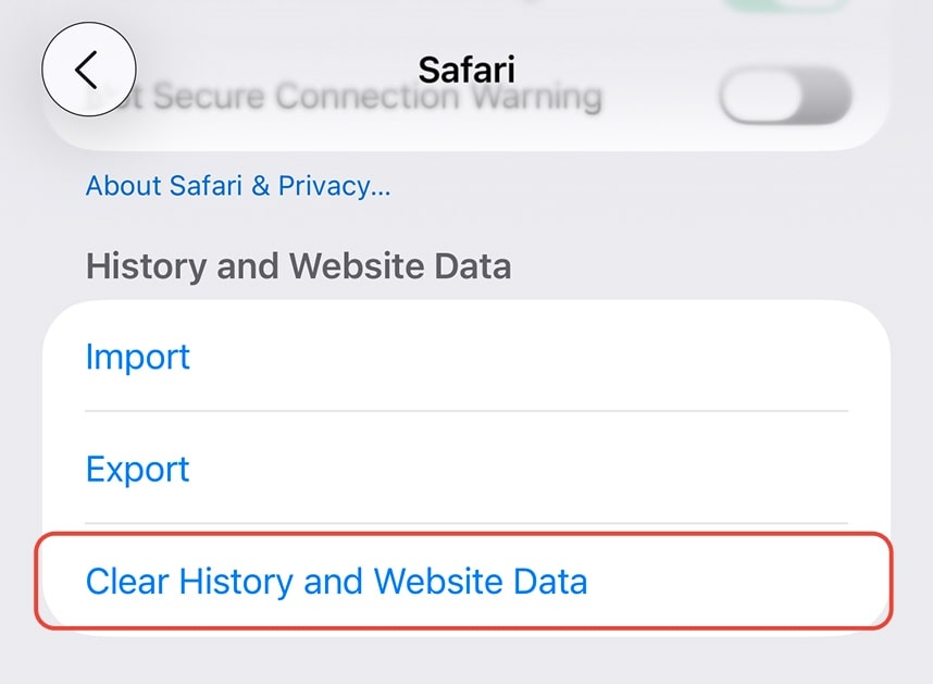 Clear History and Website Data