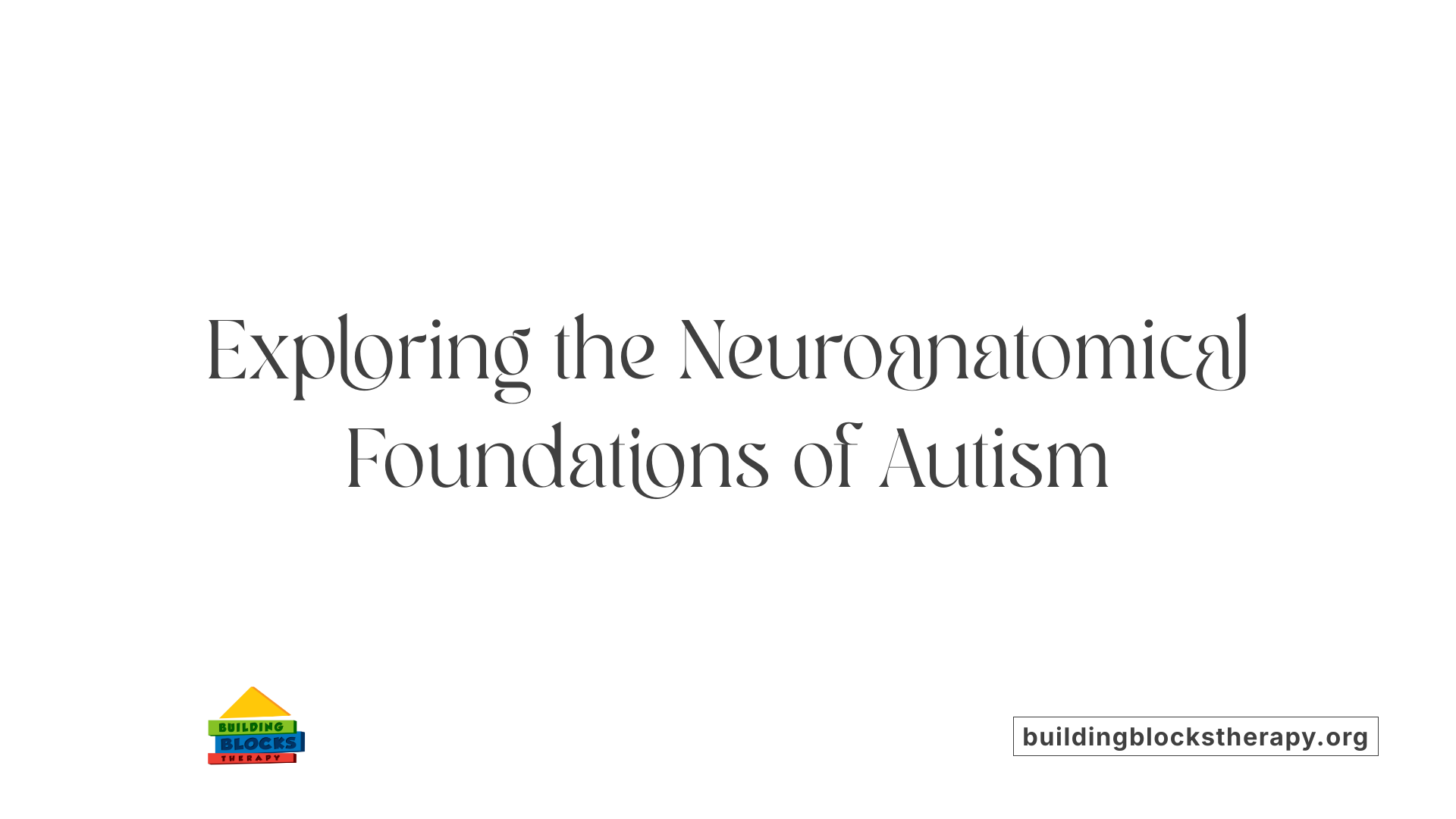 Exploring the Neuroanatomical Foundations of Autism