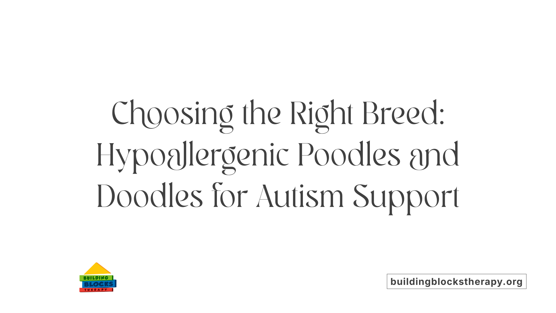 Choosing the Right Breed: Hypoallergenic Poodles and Doodles for Autism Support