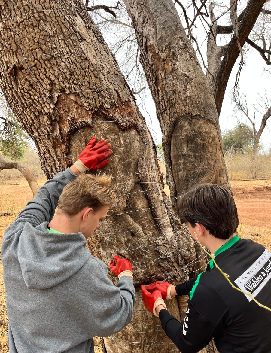 volunteers working in the bush at the Central Tuli Game Reserve in Botswana.