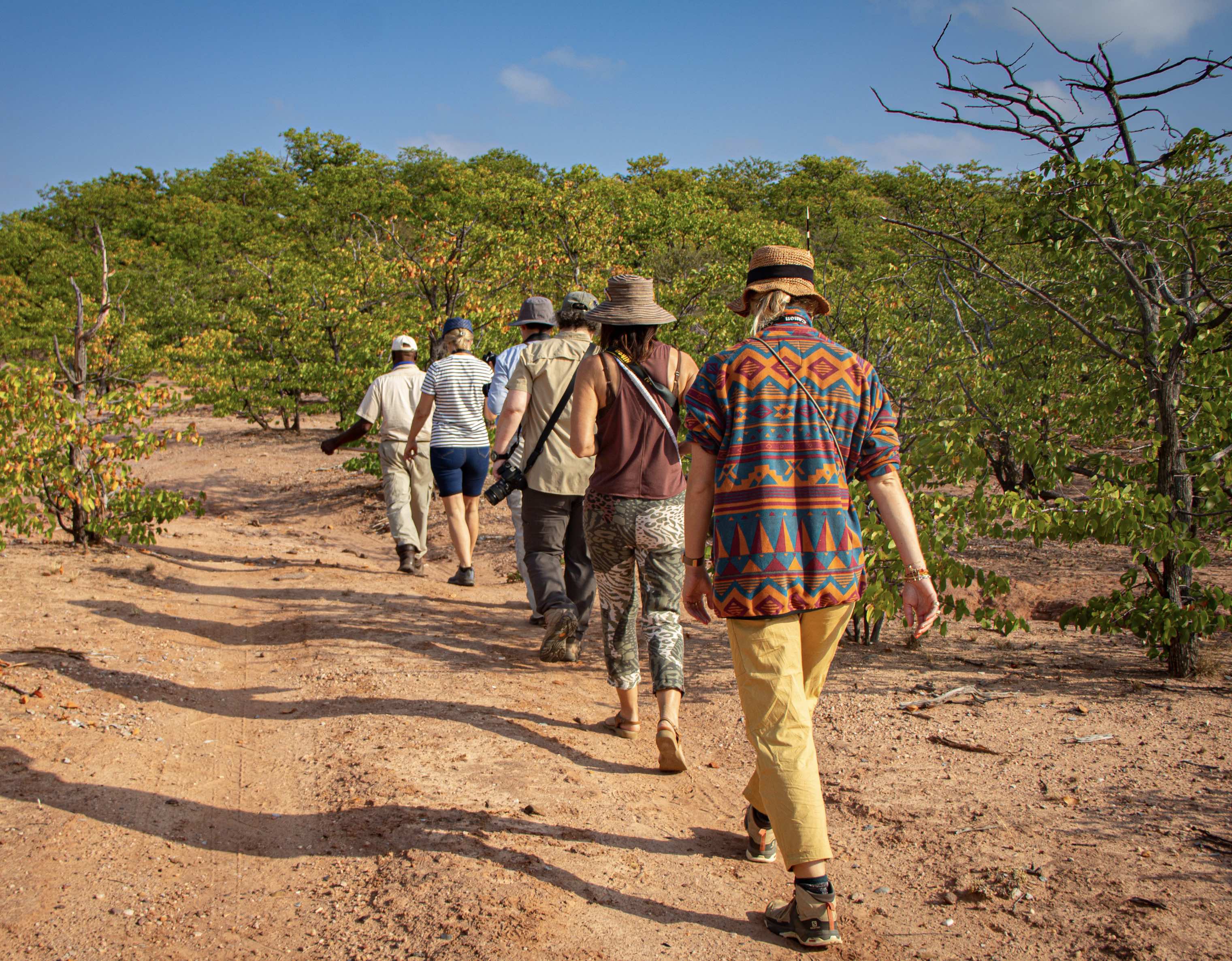Volunteers on a bush walk at the Central Tuli Game Reserve in Botswana.