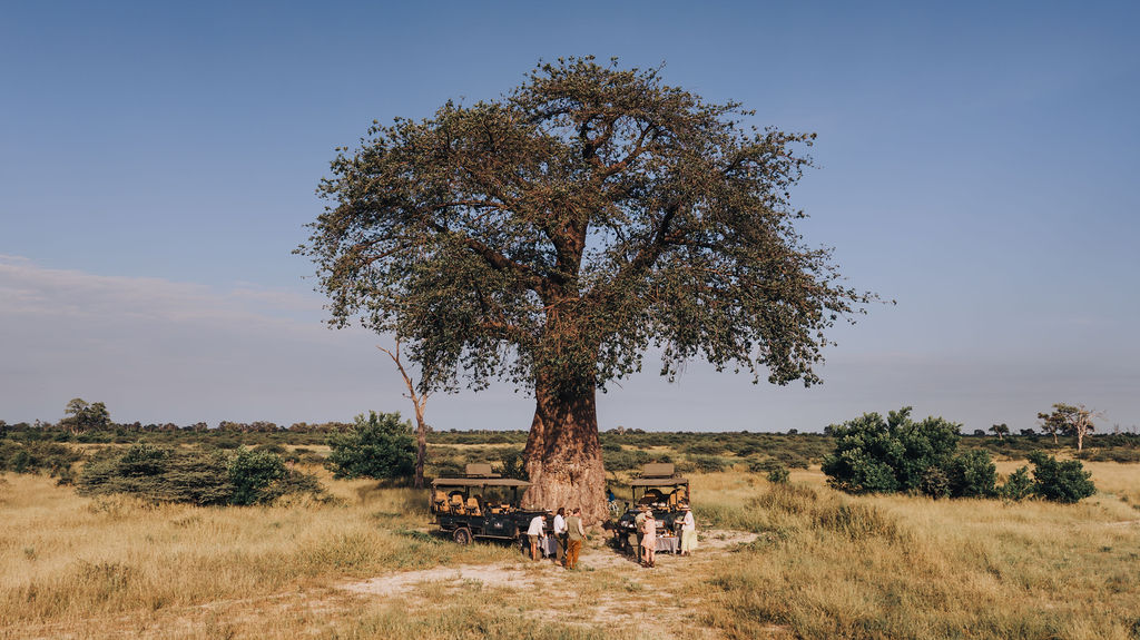 Bredt landskabsbillede af Okavango-deltaets sletter under en privat mobilsafari i Botswana.
