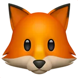 FOX_FACE