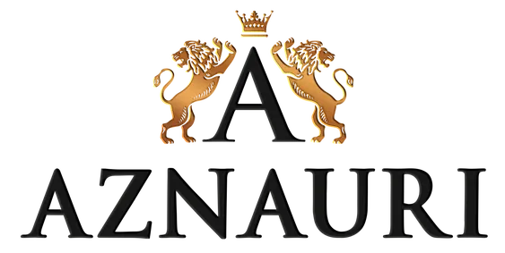 AZNAURI LOGO