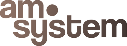 AM System