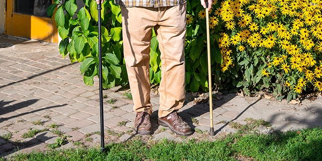 zone sécurisé pour senior