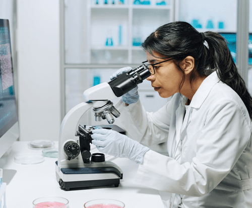 Case study - OPTIMI Pathway: Digitalization in request management for ...
