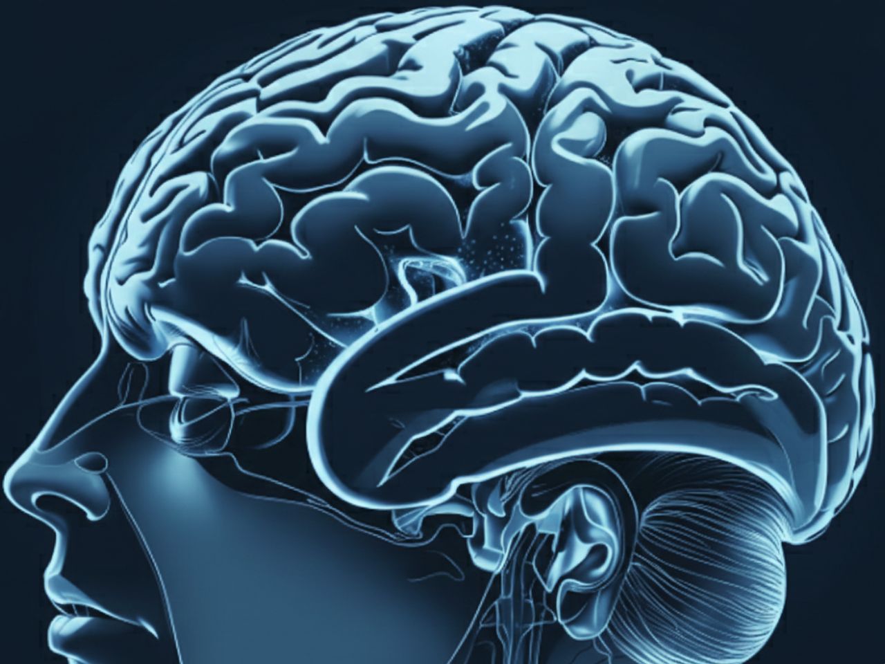 Brain genes expression and production of sphingolipids
