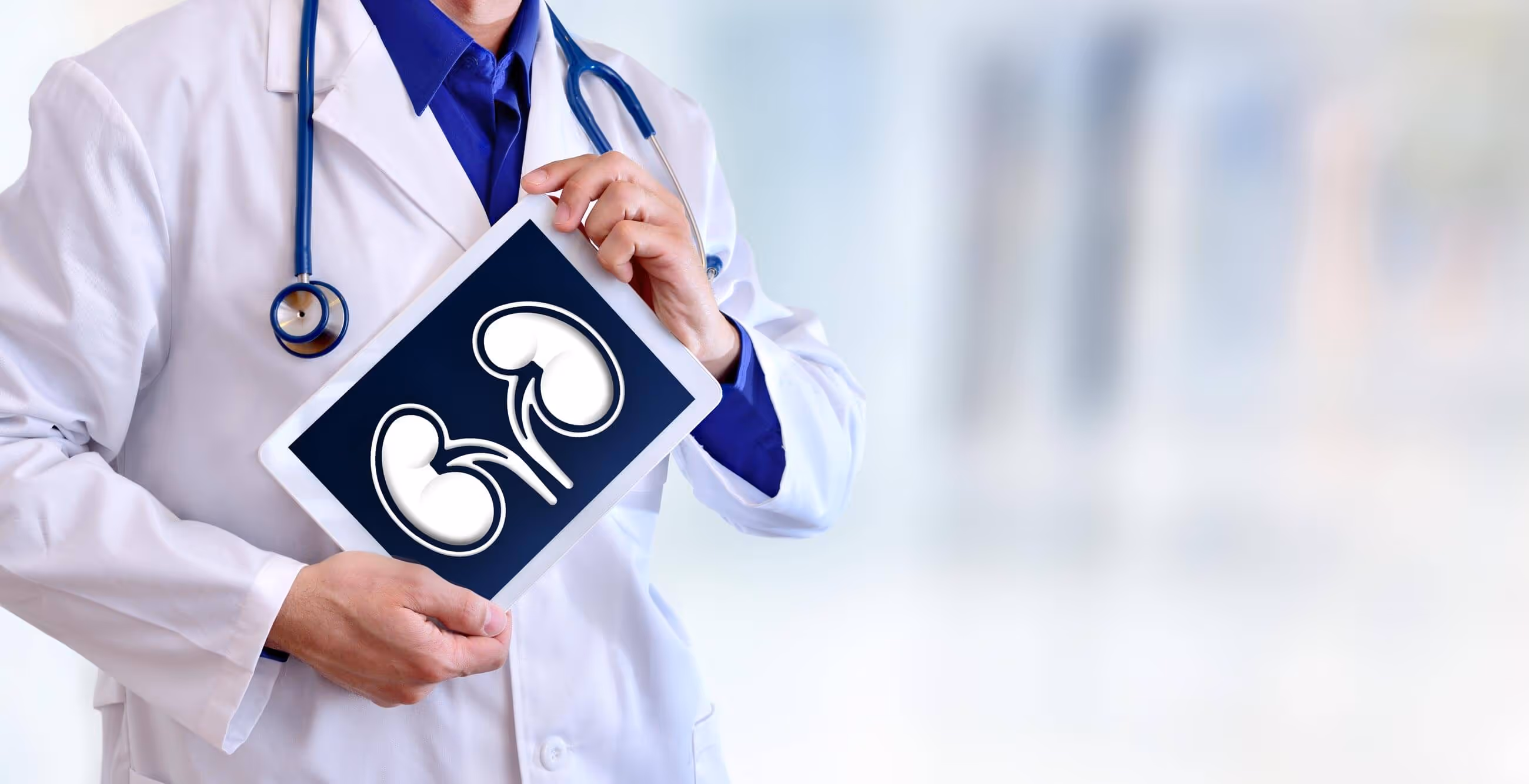 Neprology Banner Image