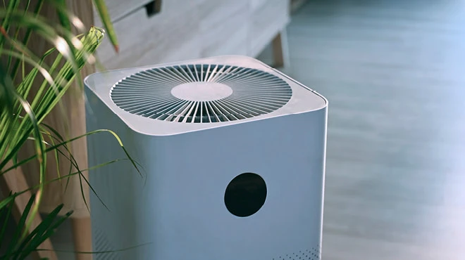 White air purifier near indoor plant.