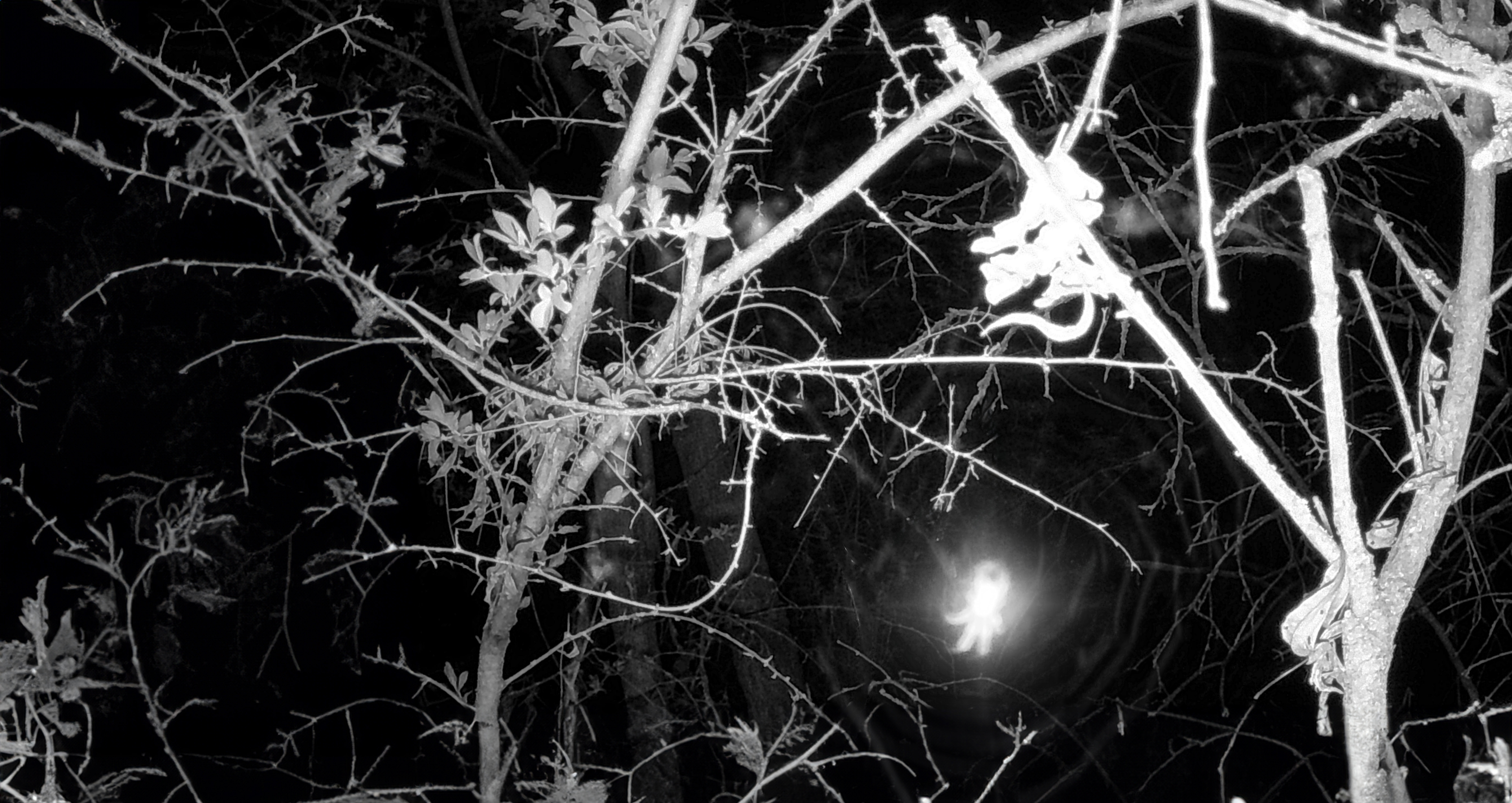 Cover image of [Artist's name]