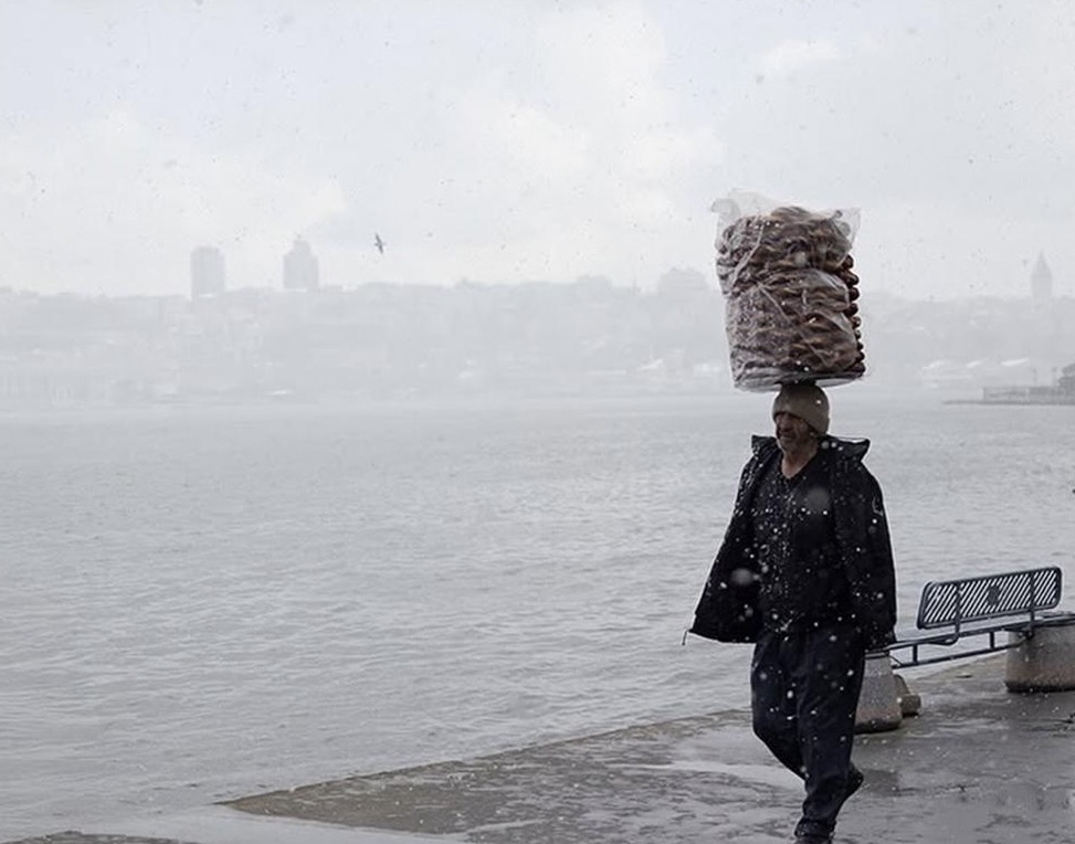 Cover image of [Artist's name]