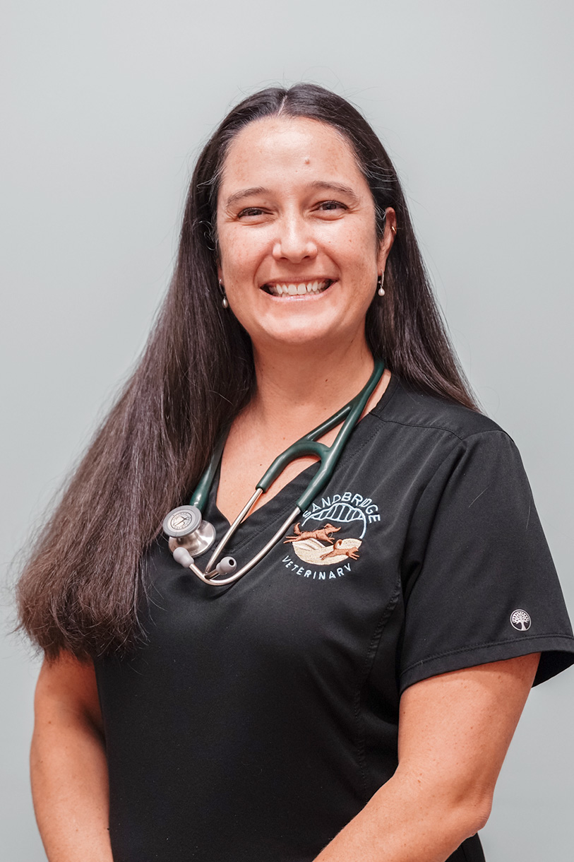 Doctor's Headshot