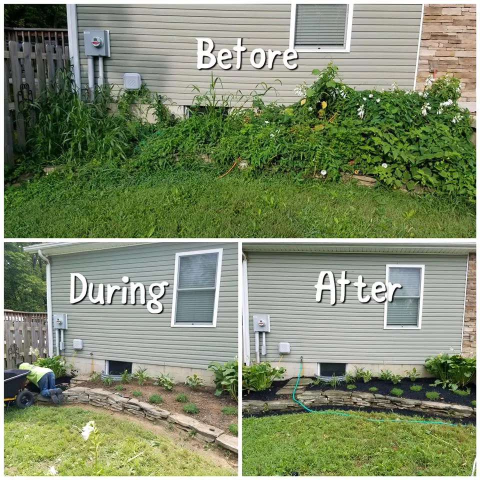 This is a before and after image collage showing an overgrown area next to a house transformed into a tidy, landscaped bed with new plants and mulch.