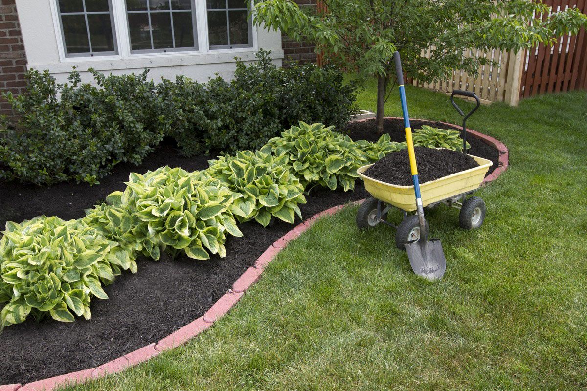 Solving Landscape Erosion Problems Around Your Delaware Property