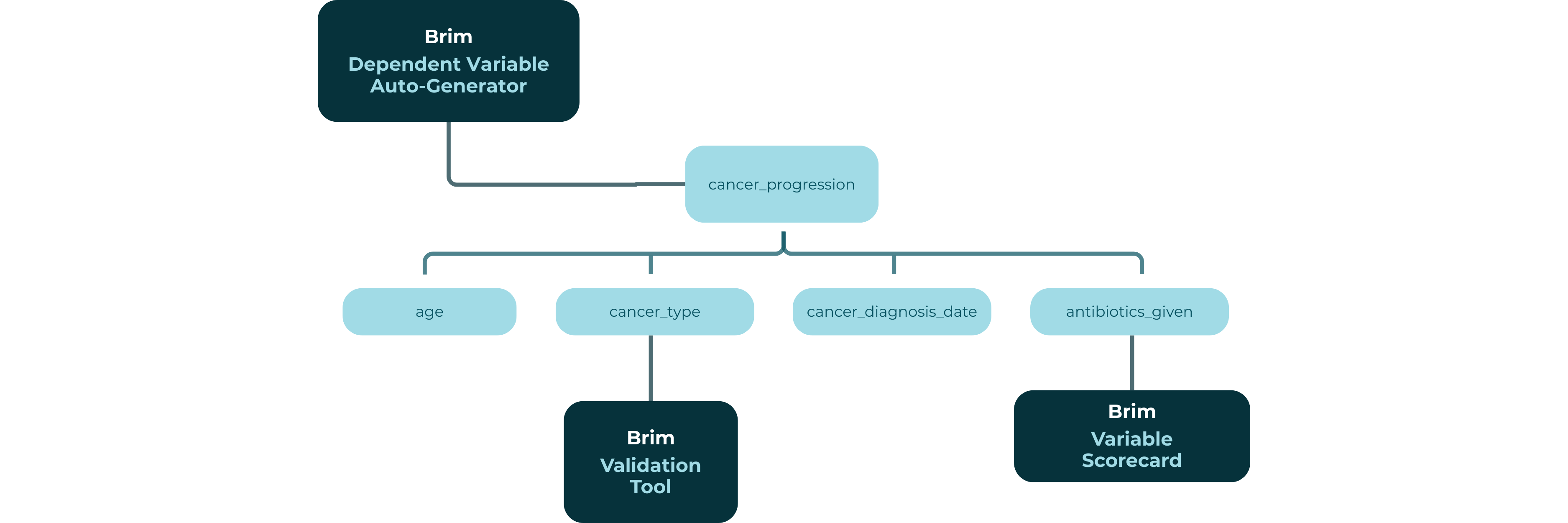 Brim's February 2026 Release