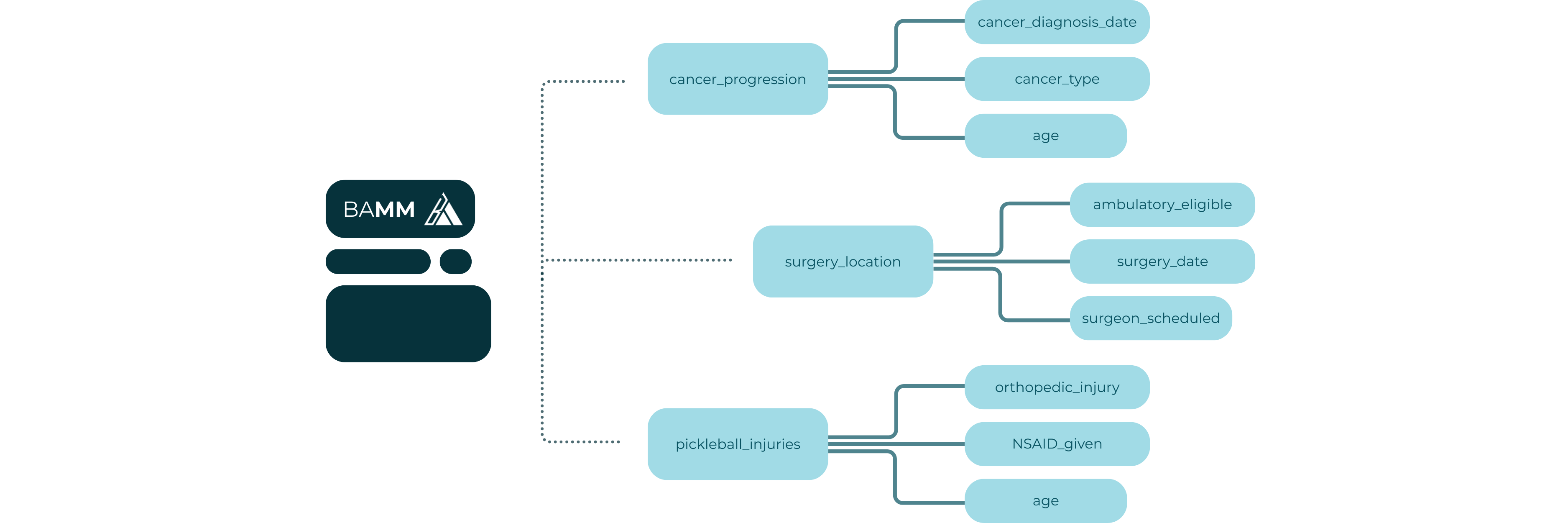 The Brim Abstraction Metadata Model