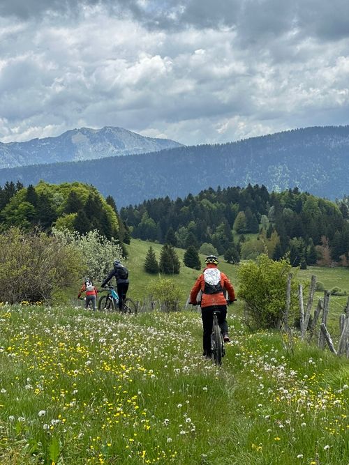 VTT électrique en nature