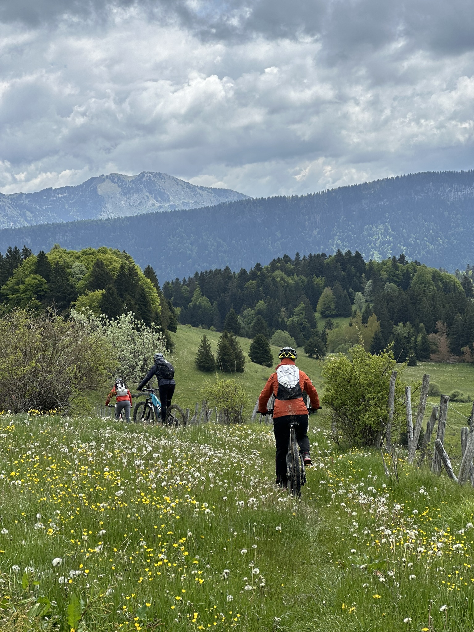 VTT électrique en nature