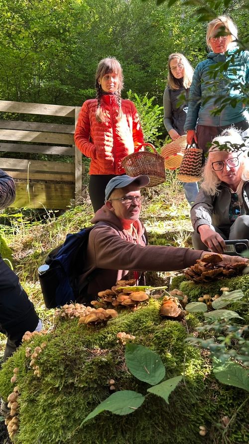 Cohésion d'équipe : balade champignon