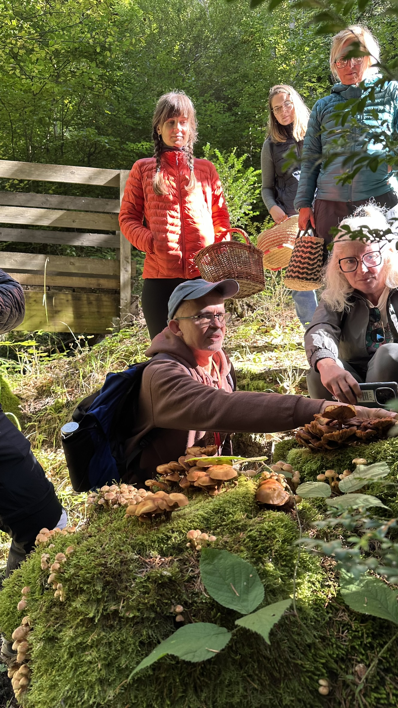 Cohésion d'équipe : balade champignon