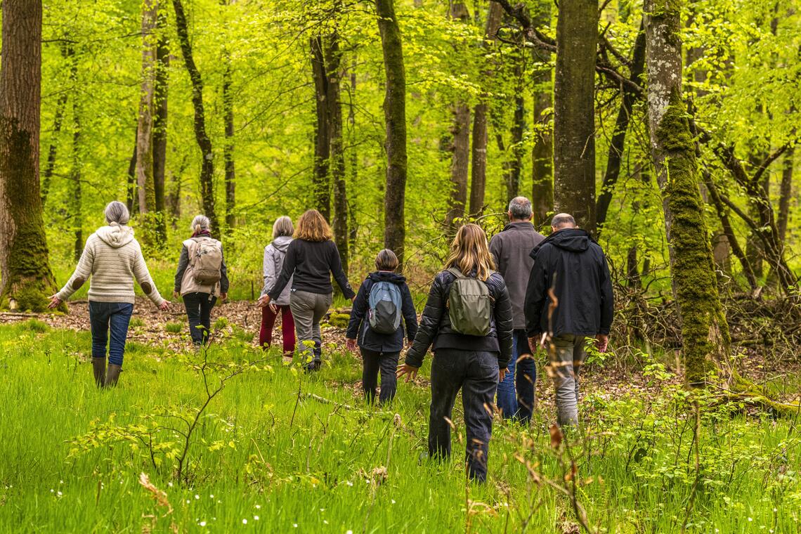 Marche sensorielle en forêt en groupe