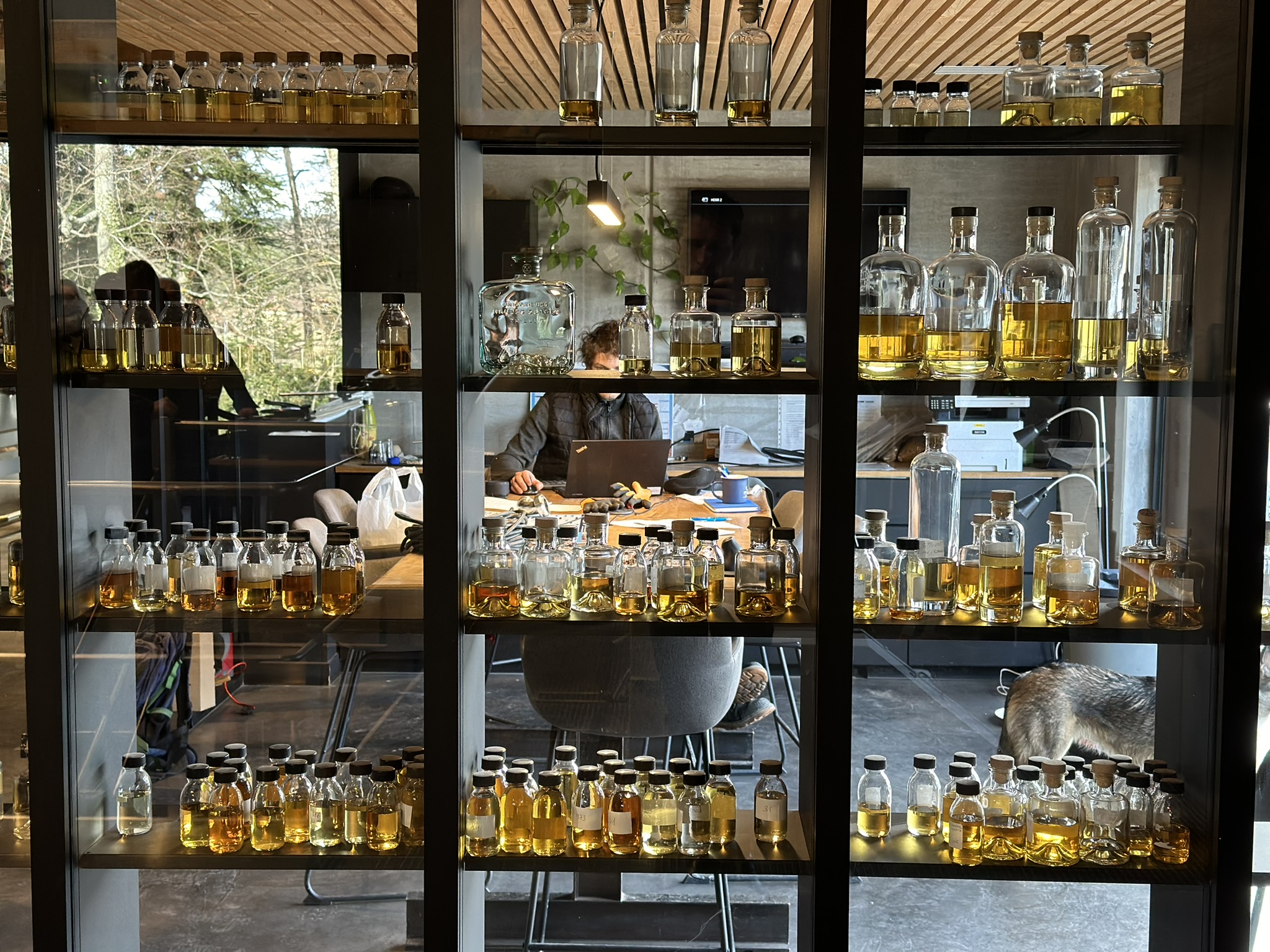 Team-building découverte : Visite de distilleries locales 