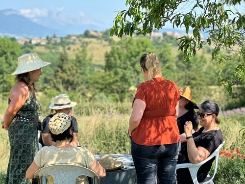 Team-building découverte : Balade herboriste nature