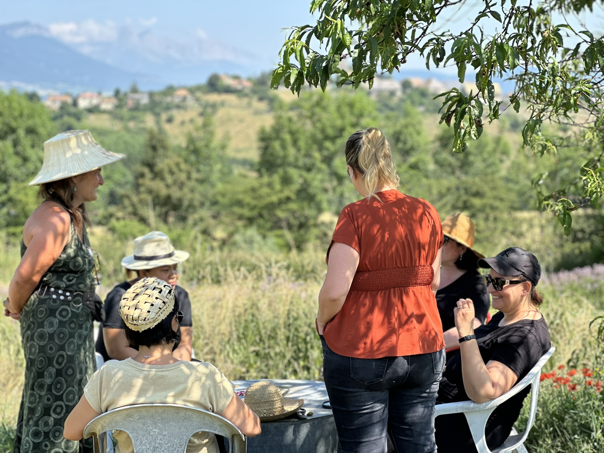 Team-building découverte : Balade herboriste nature
