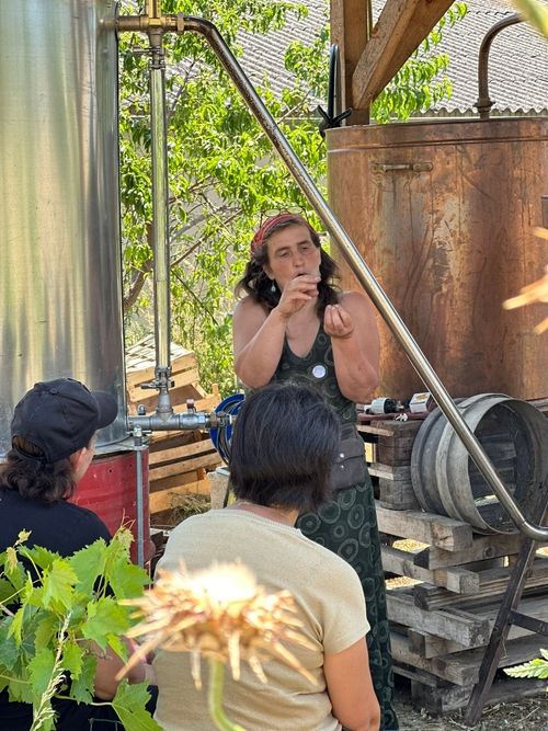 Team-building découverte : Balade herboriste nature