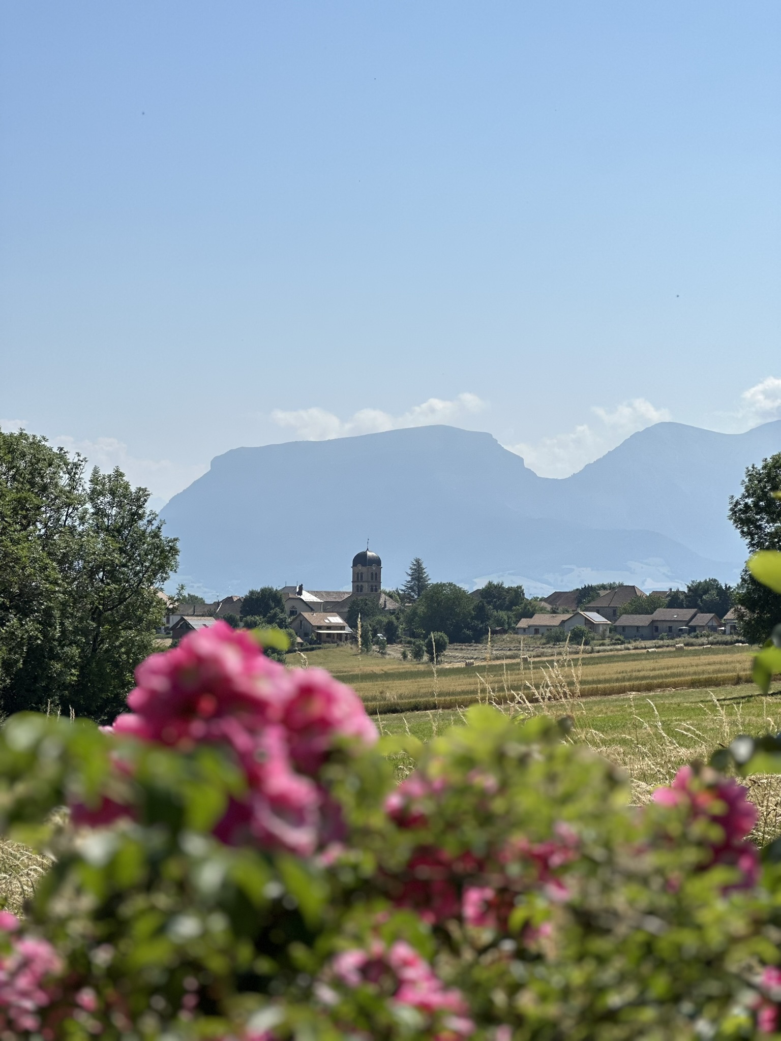 Team-building découverte : Balade herboriste nature