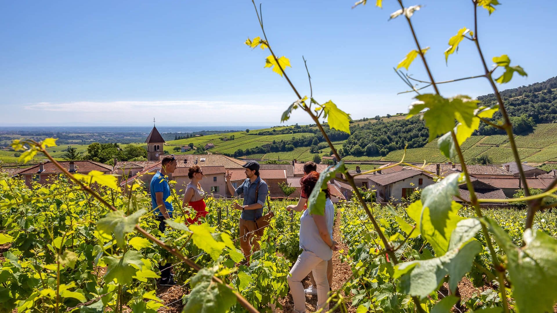 Team-building découverte : Visite de vignobles et dégustation