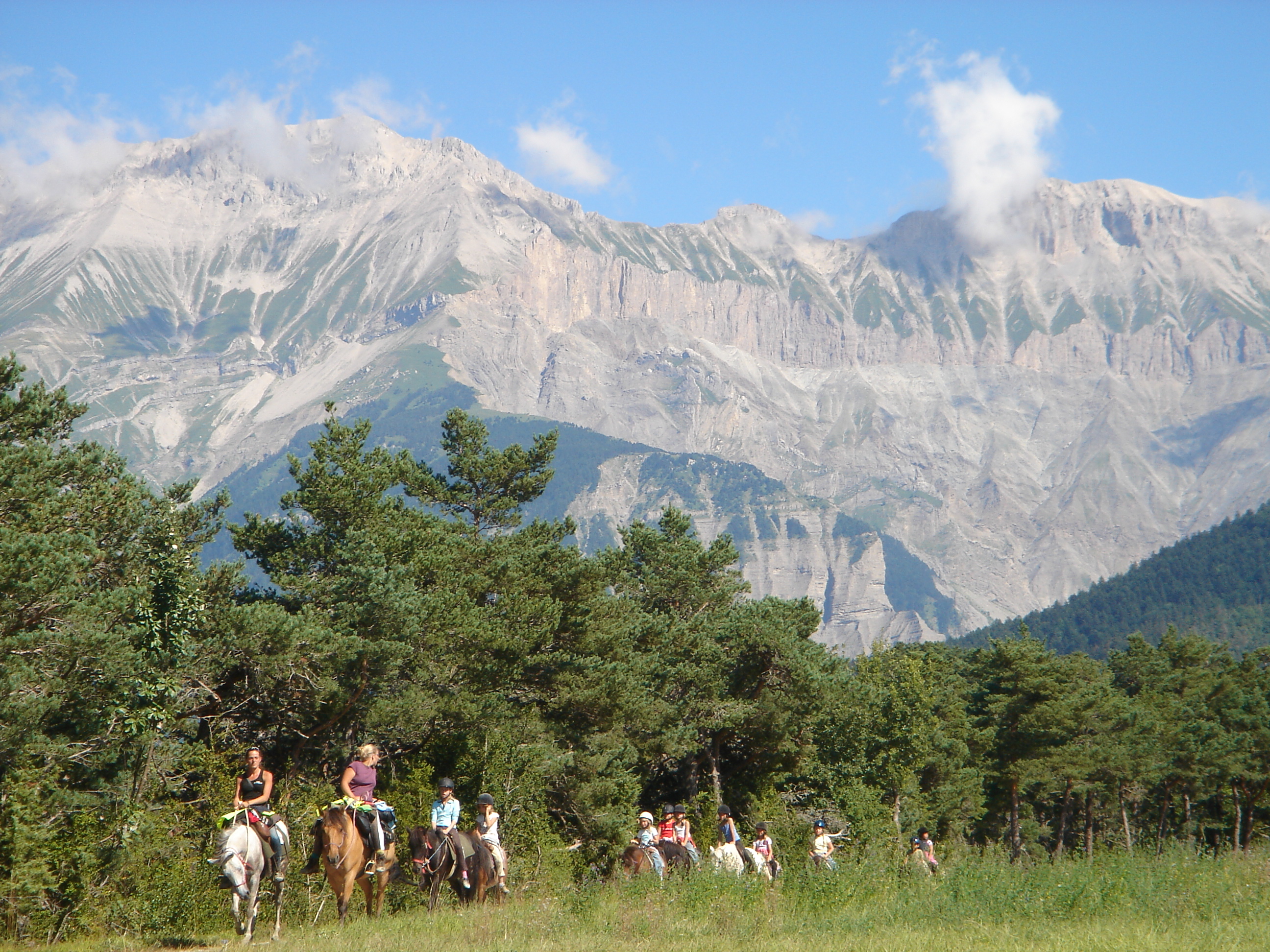 Team-building découverte : Randonnée équestre sauvage