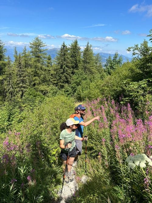 Team-building cohésion : Randonnée guidée en nature