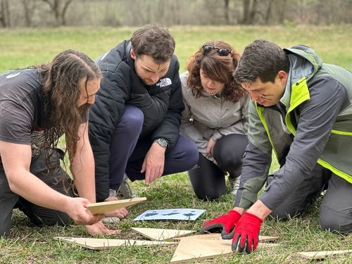 Team-building cohésion : Construction cabanes et défis bush craft