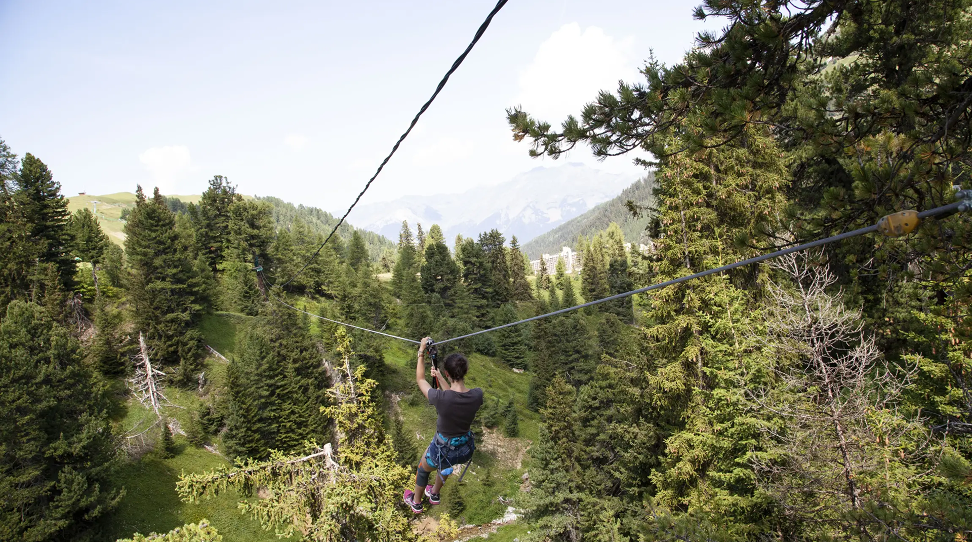 Team-building cohésion : Sortie accrobranche dans les arbres