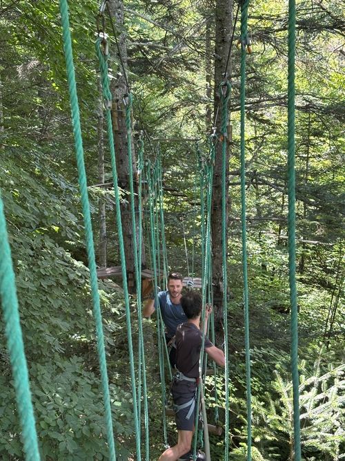 Team-building cohésion : Sortie accrobranche dans les arbres