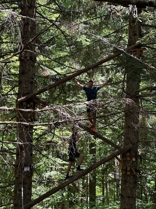 Team-building cohésion : Sortie accrobranche dans les arbres
