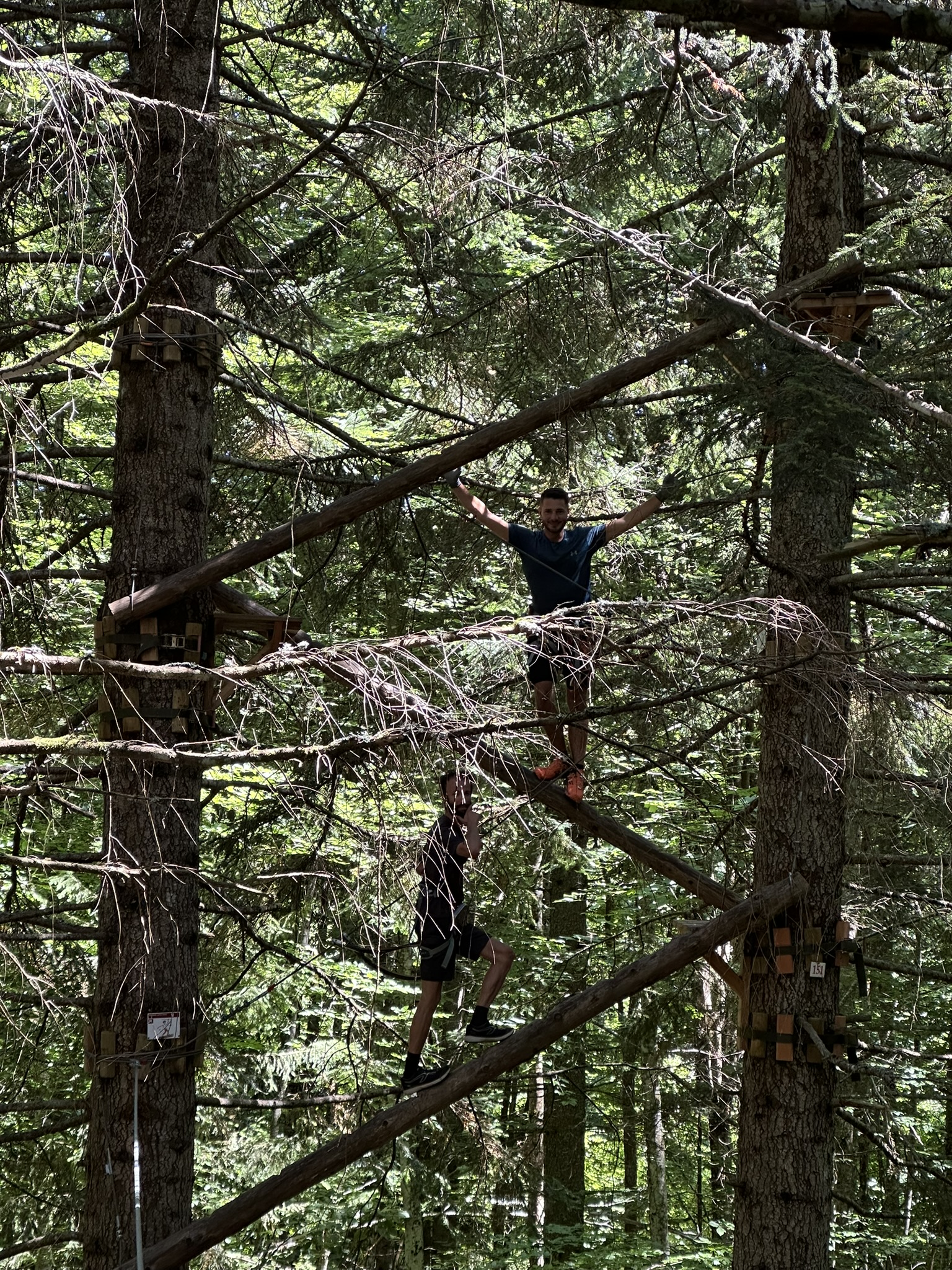 Team-building cohésion : Sortie accrobranche dans les arbres