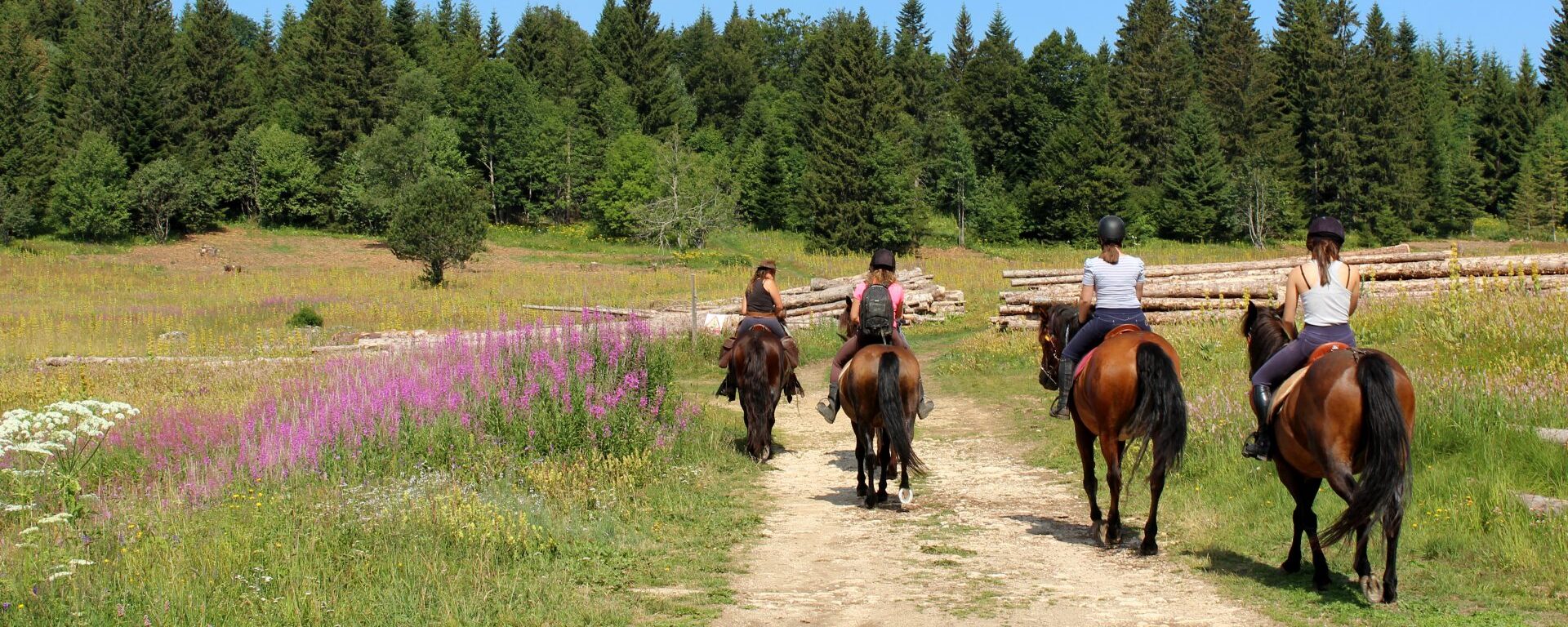 Team-building découverte : Randonnée équestre sauvage