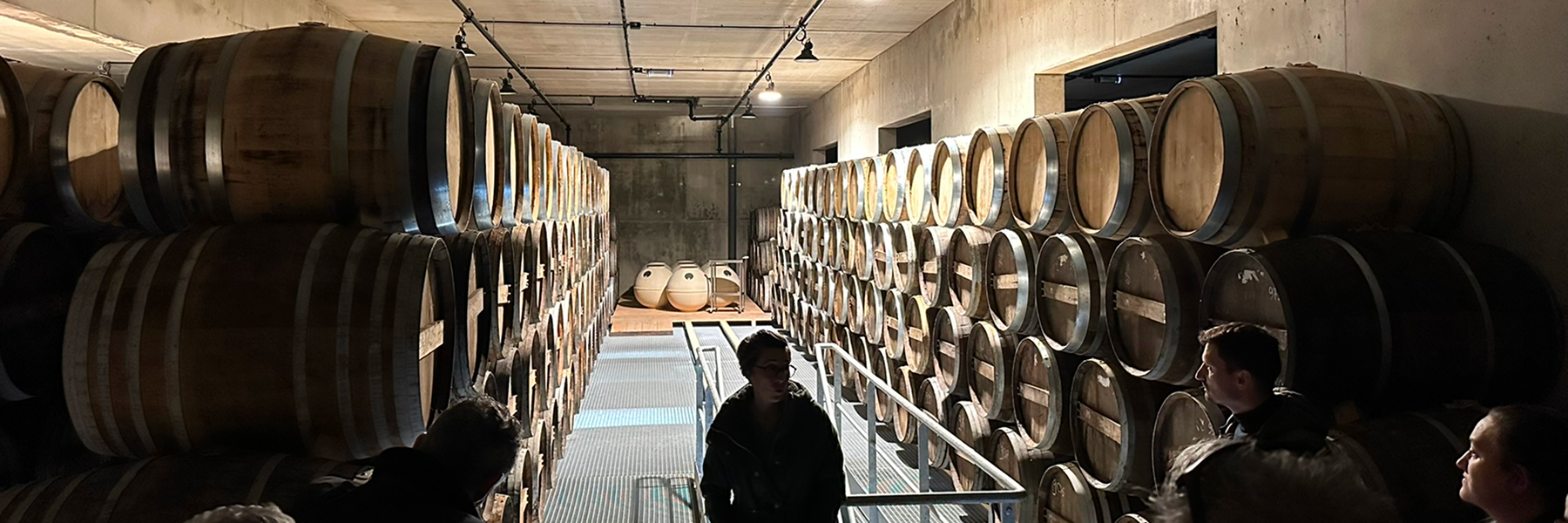 Team-building découverte : visite de distillerie bio