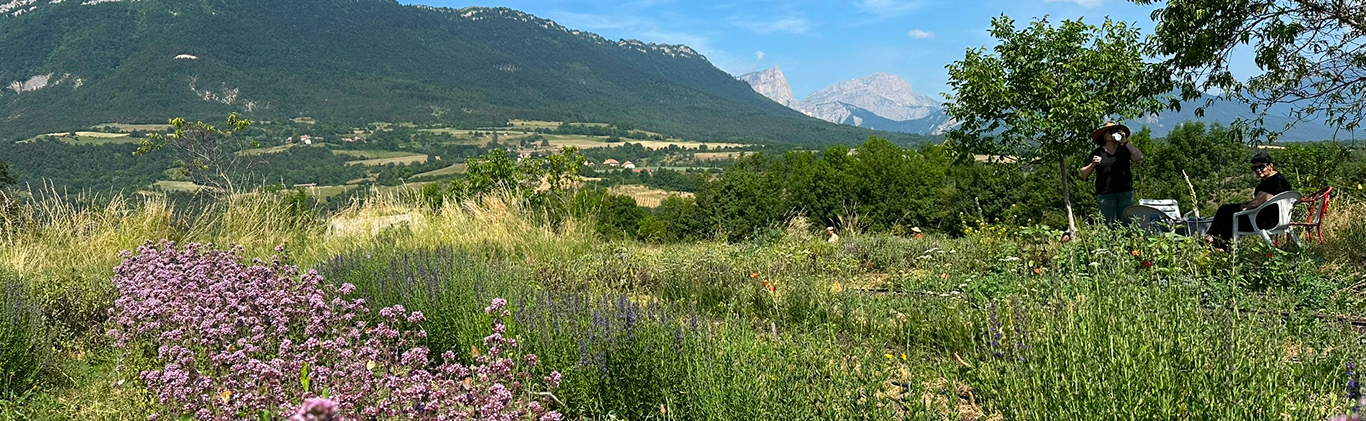 Séminaire d'entreprise nature au printemps