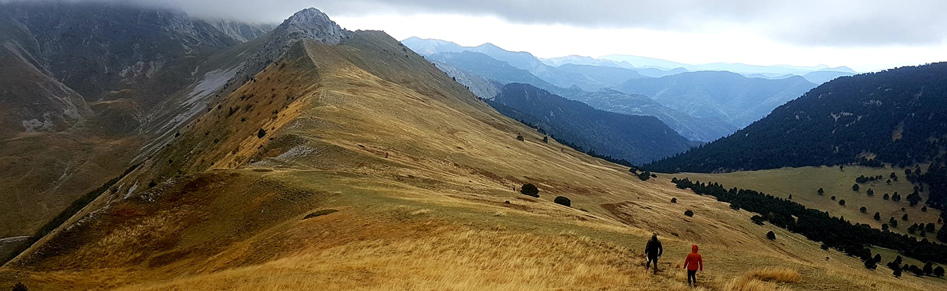 Séminaire d'entreprise nature en automne