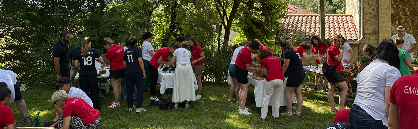 Team-building nature - création de bolides en carton